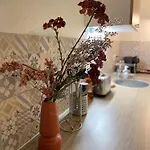 Les Cosy De - Le Repere Du Roi Stanislas 4etoiles 南锡