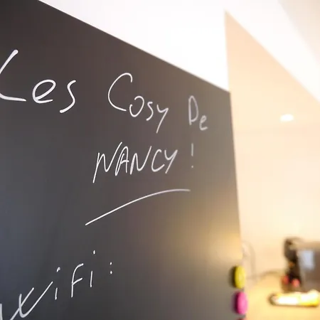 Apartament Les Cosy De - Le Repere Du Roi Stanislas 4etoiles Nancy