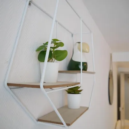 Les Cosy De - Le Repere Du Roi Stanislas 4etoiles *