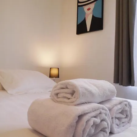 Les Cosy De - Le Repere Du Roi Stanislas 4etoiles Apartament Nancy