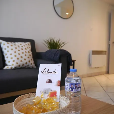 Les Cosy De - Le Repere Du Roi Stanislas 4etoiles