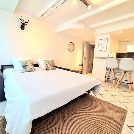 Les Cosy De - Le Repere Du Roi Stanislas 4etoiles Διαμέρισμα Νανσύ