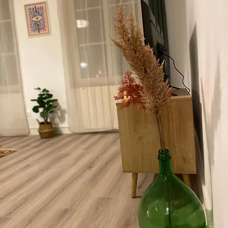 Les Cosy De - Le Repere Du Roi Stanislas 4etoiles Appartement