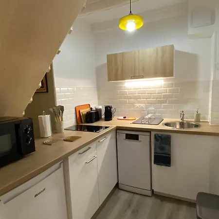 Appartement Les Cosy De - Le Repere Du Roi Stanislas 4etoiles *