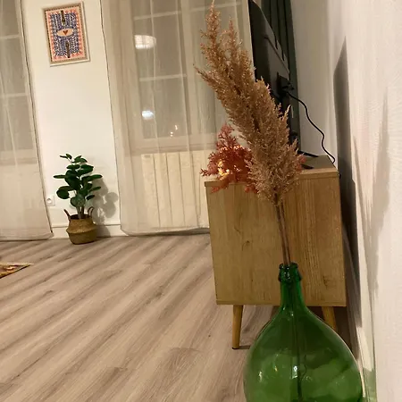 Les Cosy De - Le Repere Du Roi Stanislas 4etoiles