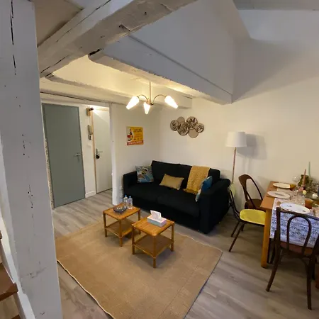 Les Cosy De - Le Repere Du Roi Stanislas 4etoiles Νανσύ