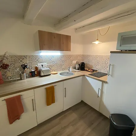 Les Cosy De - Le Repere Du Roi Stanislas 4etoiles Apartament