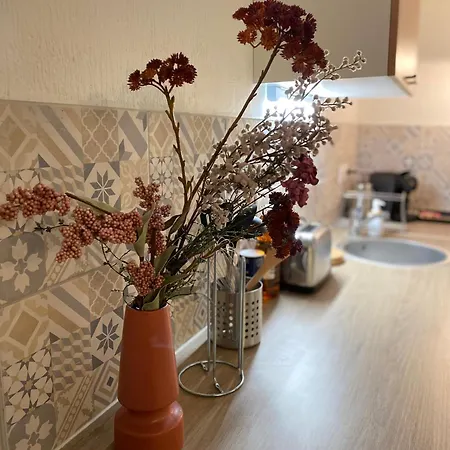 Les Cosy De - Le Repere Du Roi Stanislas 4etoiles Νανσύ