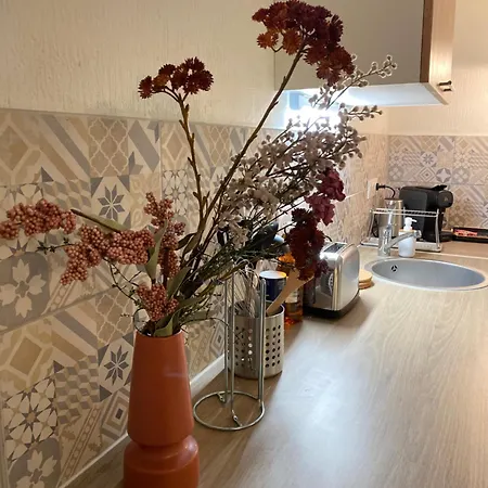 Les Cosy De - Le Repere Du Roi Stanislas 4etoiles Διαμέρισμα