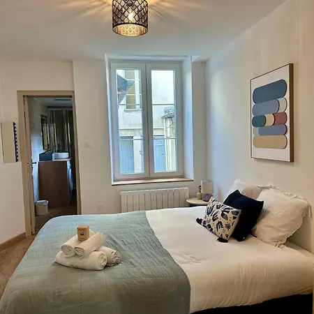 Apartament Les Cosy De - Le Repere Du Roi Stanislas 4etoiles Nancy