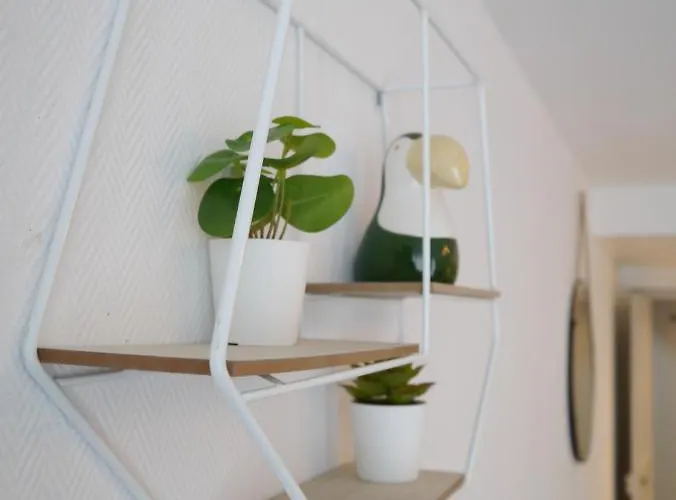 Les Cosy De - Le Repère Du Roi Stanislas 4étoiles *