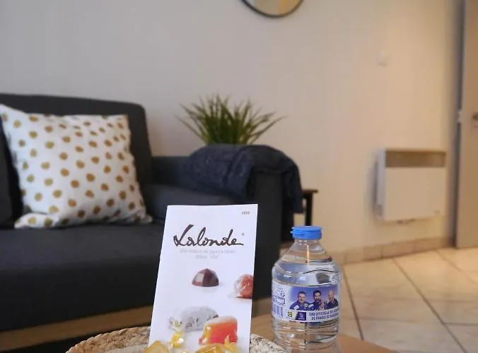 Les Cosy De - Le Repère Du Roi Stanislas 4étoiles