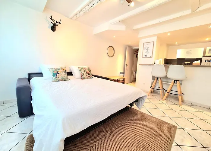 Les Cosy De - Le Repère Du Roi Stanislas 4étoiles Apartamento Nancy