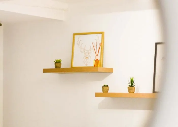 Les Cosy De - Le Repère Du Roi Stanislas 4étoiles