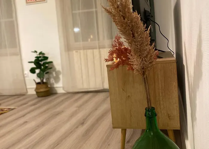 Les Cosy De - Le Repère Du Roi Stanislas 4étoiles Apartamento