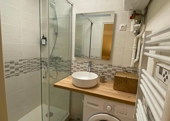 Apartamento Les Cosy De - Le Repère Du Roi Stanislas 4étoiles *