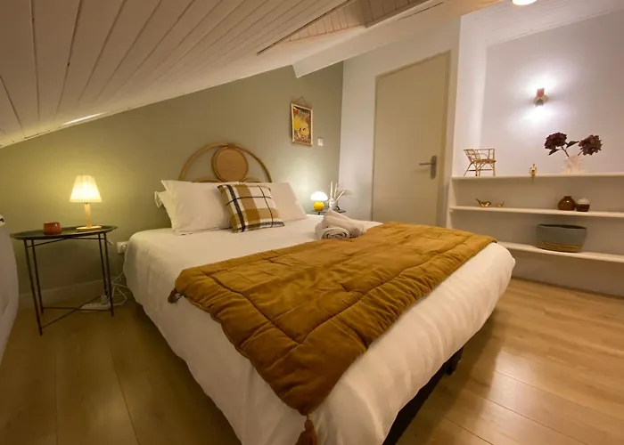 Apartamento Les Cosy De - Le Repère Du Roi Stanislas 4étoiles Nancy