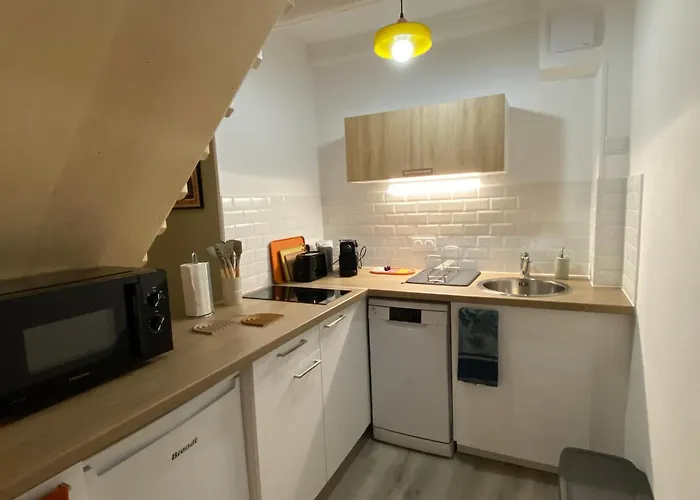 Apartamento Les Cosy De - Le Repère Du Roi Stanislas 4étoiles *