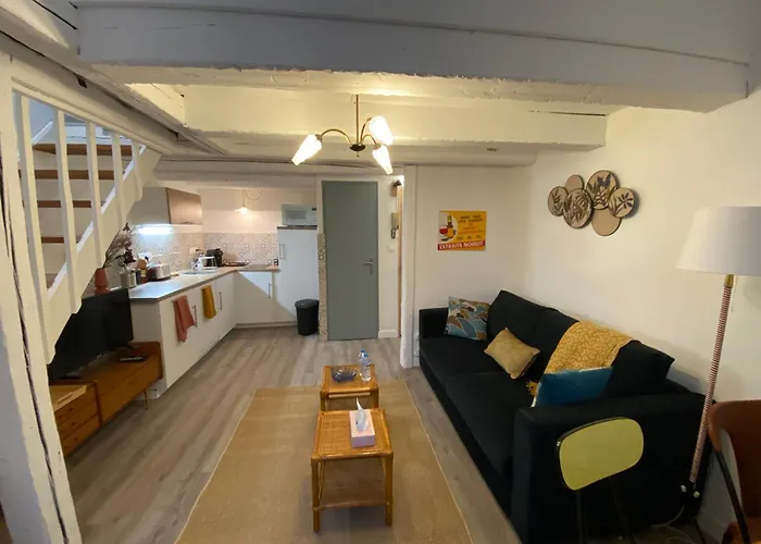 Les Cosy De - Le Repère Du Roi Stanislas 4étoiles Apartamento *