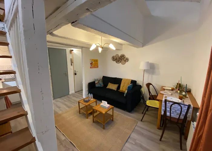 Les Cosy De - Le Repère Du Roi Stanislas 4étoiles Nancy