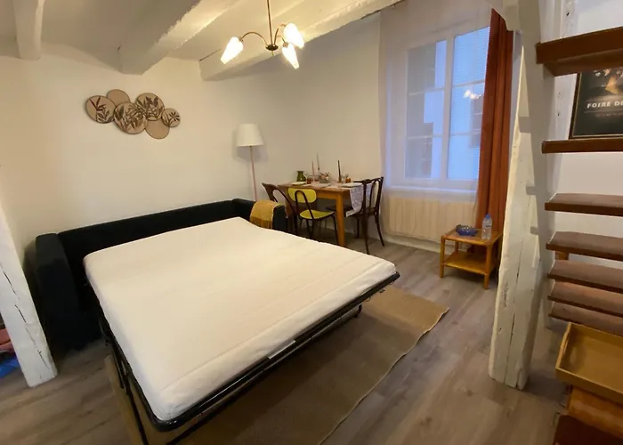 Apartamento Les Cosy De - Le Repère Du Roi Stanislas 4étoiles