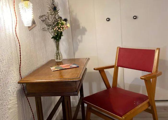 Apartamento Les Cosy De - Le Repère Du Roi Stanislas 4étoiles *