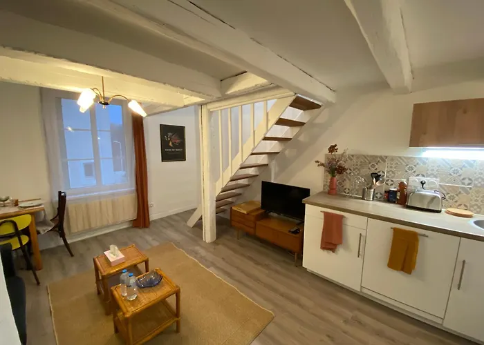 Apartamento Les Cosy De - Le Repère Du Roi Stanislas 4étoiles *