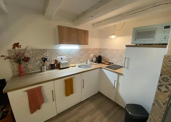 Les Cosy De - Le Repère Du Roi Stanislas 4étoiles Apartamento