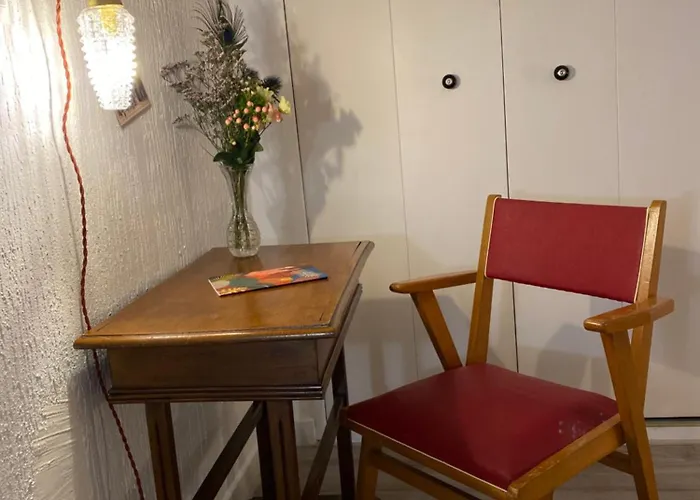 Les Cosy De - Le Repère Du Roi Stanislas 4étoiles Apartamento