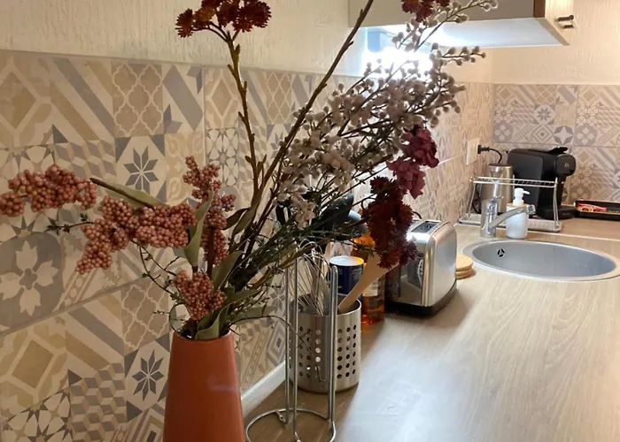 Les Cosy De - Le Repère Du Roi Stanislas 4étoiles Apartamento