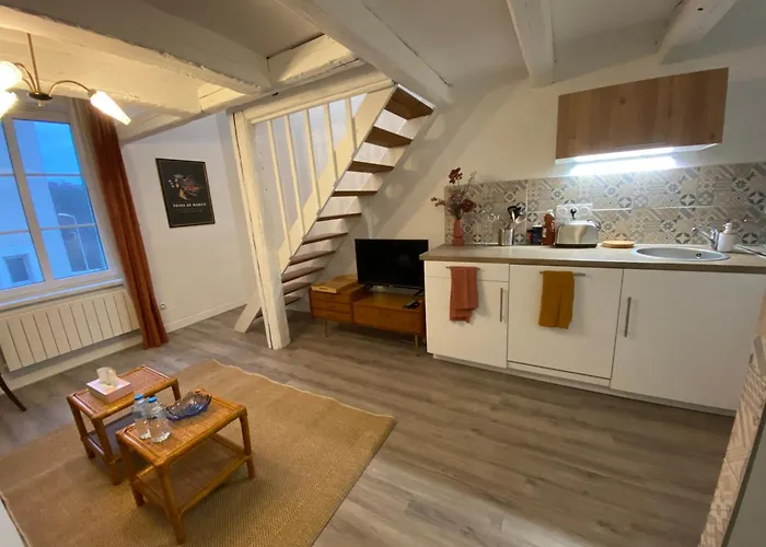 Apartamento Les Cosy De - Le Repère Du Roi Stanislas 4étoiles *