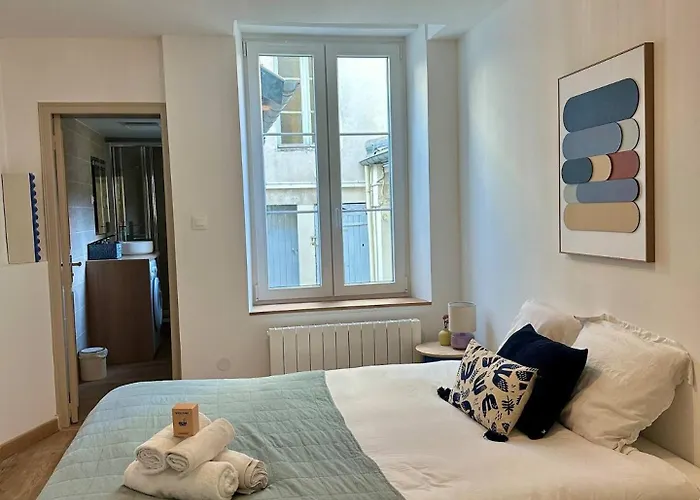 Apartamento Les Cosy De - Le Repère Du Roi Stanislas 4étoiles Nancy